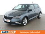 Skoda Fabia 1.0 MPI Clever*TEMPO*NAVI*PDC*SHZ*KLIMA* - Skoda Fabia Gebrauchtwagen in Stuttgart