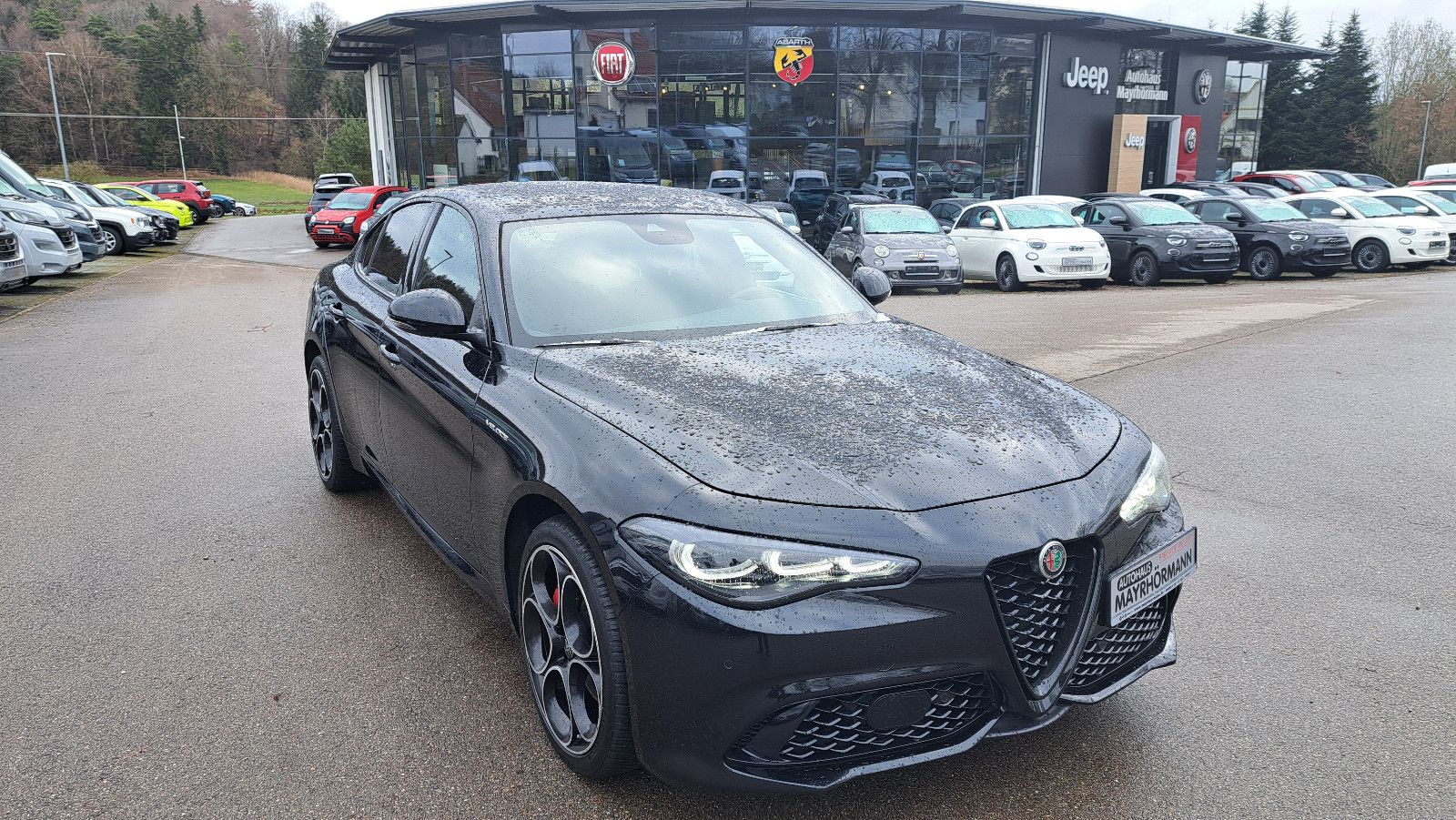 Fahrzeugabbildung Alfa Romeo Giulia Veloce  Q4