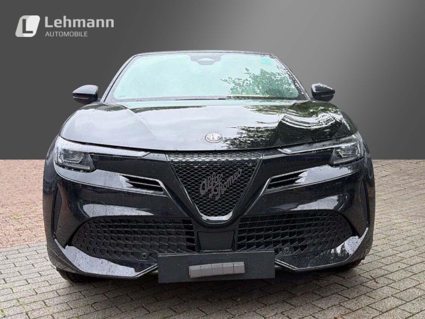Fahrzeugabbildung Alfa Romeo Junior Elettrica TI -Technologie-Panorama-Wärmep