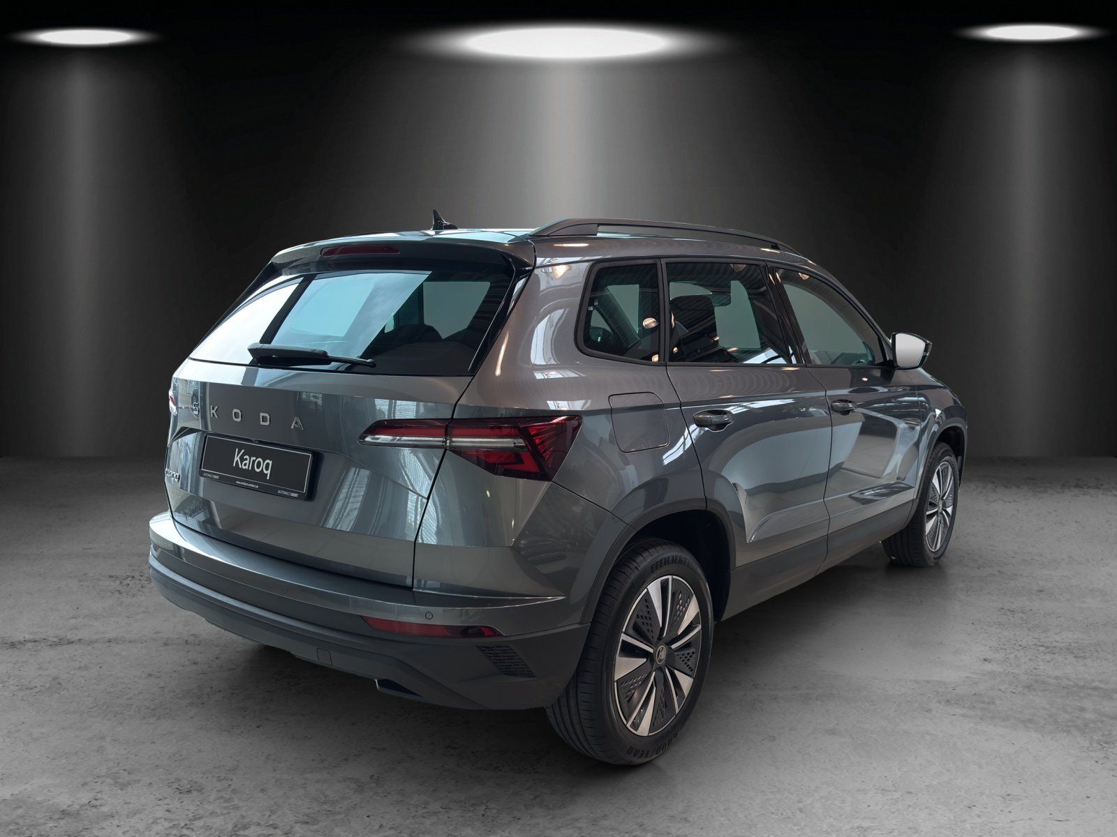 Fahrzeugabbildung SKODA Karoq Tour 1,5 TSI 110 kW DSG