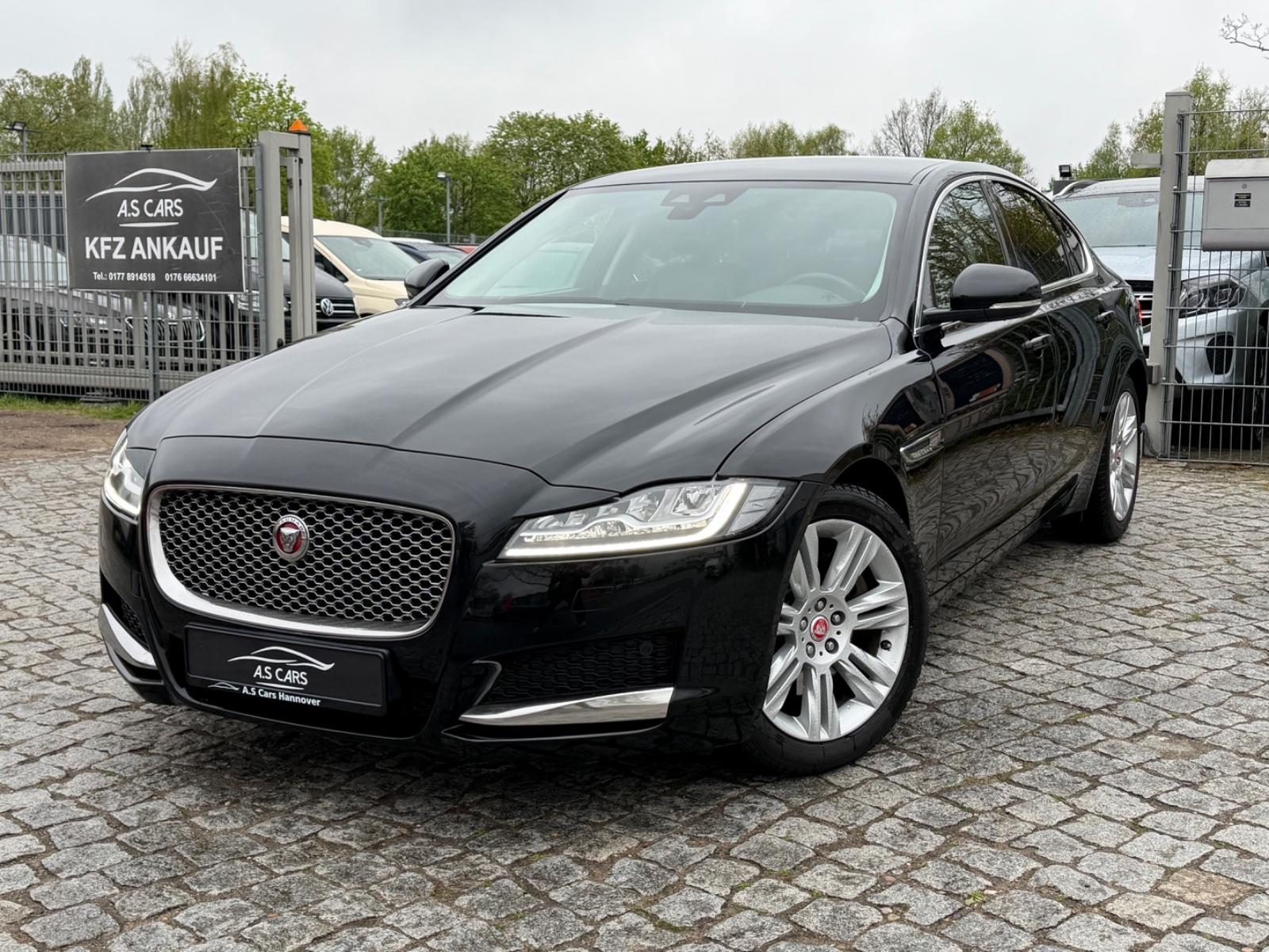 Jaguar XF Pure 25d*AWD*Leder*Alu*Kam*Navi*