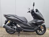Honda PCX 125 DX 2025 (WW 125) 2. Hand* 5 KM!!! - HONDA PCX125 DX