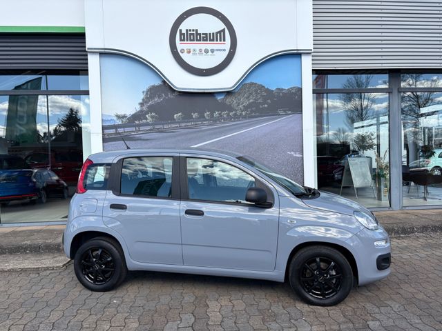Fiat Panda Easy DAB+ UConnect Klima SHZ uvm.