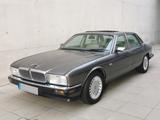 Jaguar XJ40 - graue Jaguar XJ40