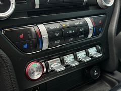 Fahrzeugabbildung Ford Mustang 5.0 Ti-VCT V8 GT *ACC*B&O*LEDER*LED*19"