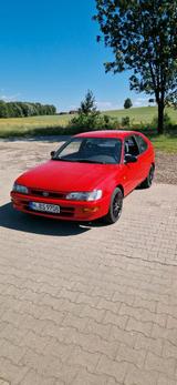 Toyota Corolla E10 - Toyota Corolla: Sportwagen