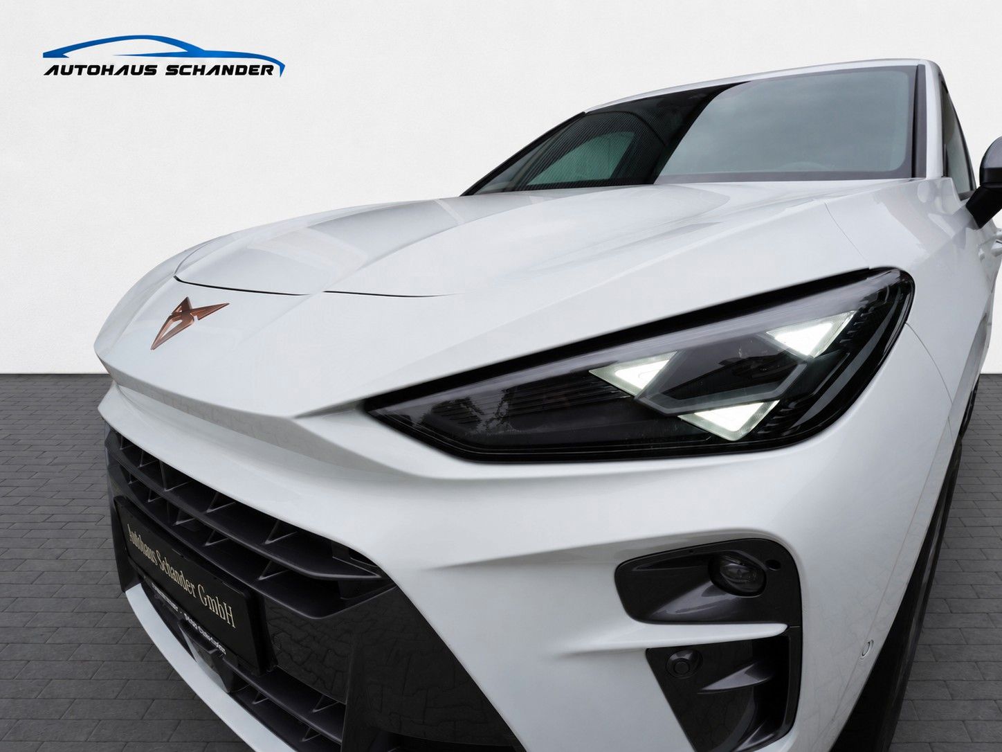 Cupra Terramar 1.5 eTSI *Tribe*Lenk/SHZ*RFK*ACC*DAB* imagem 3