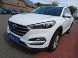 Hyundai Tucson blue Trend 2WD - Hyundai TUCSON in Hamm