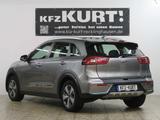 Kia Niro 1.6 GDI PHEV 2WD Aut. Vision - Kia Niro in Dortmund