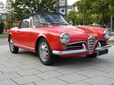 Alfa Romeo Giulietta Spider 101 - überwiegend Erstlack - Alfa Romeo Giulietta in München