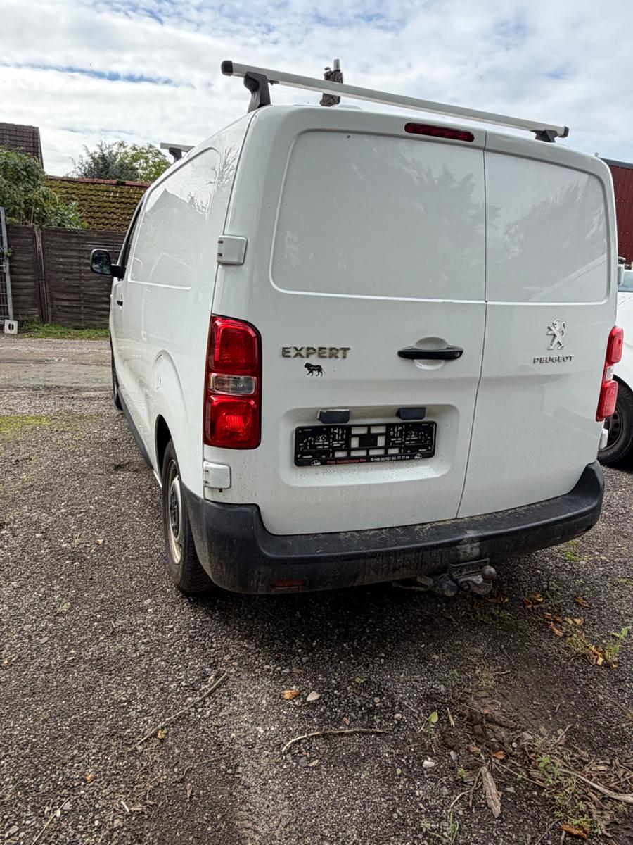 Peugeot Expert Kasten Pro L2