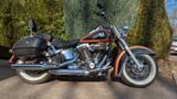 Harley-Davidson Softail Deluxe FLSTN 105 Jahre Jubiläum -Selten- - HARLEY-DAVIDSON FLSTN SOFTAIL DELUXE