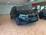 Skoda Karoq Tour - Skoda Karoq in Chemnitz