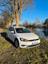 Volkswagen Golf VII 1.6 TDI aus zweiter Hand - : Zweite Hand
