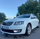 Skoda Octavia 1.6 TDI 81kW Green tec Active Combi ... - Skoda Octavia: 81 Kw