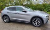Alfa Romeo Stelvio Super Q4 Xenon DAB+ Spu... - Alfa Romeo Stelvio Gebrauchtwagen in München