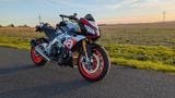 Aprilia Tuono 1100 V4 Factory - APRILIA TUONO V4 1100 FACTORY