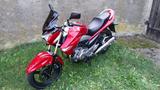 Suzuki Inazuma GW250 - Offers matching your search criteria