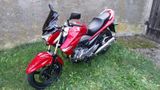 Suzuki Inazuma GW250 - SUZUKI INAZUMA 250