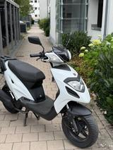 Explorer Iron 50 Roller - Offers