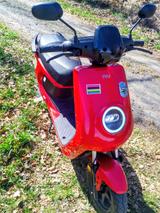 NIU MQI + - NIU MOTORRAD