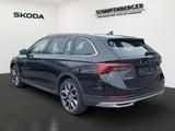 Skoda Octavia Combi Scout *AHK,Sthz.,DCC* - Skoda: Combi Scout