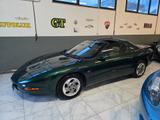 Pontiac Firebird 3.4 V6 TARGA - PERMUTE - Pontiac Firebird: Sportwagen