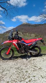 Honda CRF300 Rally - Offers