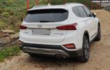 Hyundai SANTA FE 2.2 CRDi Premium 4WD 8AT Premium - Hyundai SANTA FE in Stuttgart