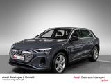 Audi Q8 50 e-tron qu advanced Matrix Standklima 20"