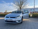 Volkswagen 7er Golf 1.5 TSI  - Volkswagen Golf: 5er