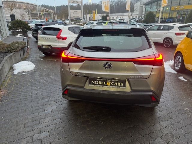 Fahrzeugabbildung Lexus UX 250h Launch Edition LED NAV SHZ PDC RFK 17"