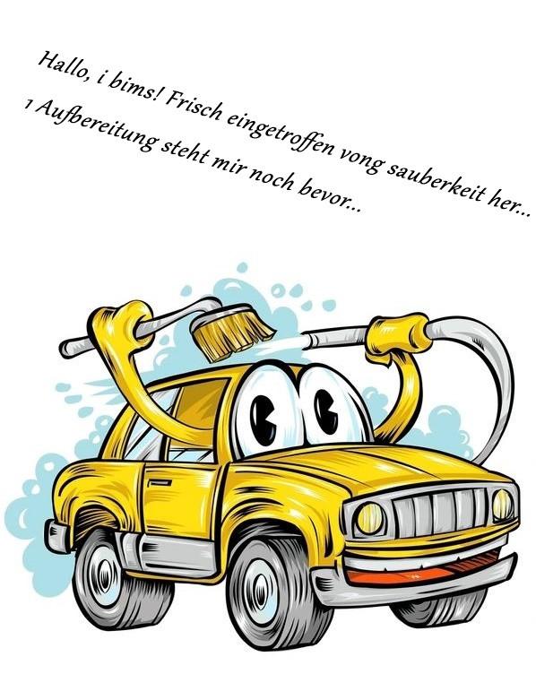 Smart fortwo coupe Automatik *Matt-Grau/Sitzheiz/Alu**