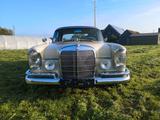 Mercedes-Benz 230 - gebrauchte Mercedes-Benz 230 aus dem Jahr 1967