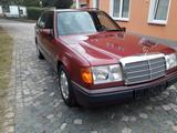 Mercedes-Benz 220 124T - Mercedes-Benz 220: Rot