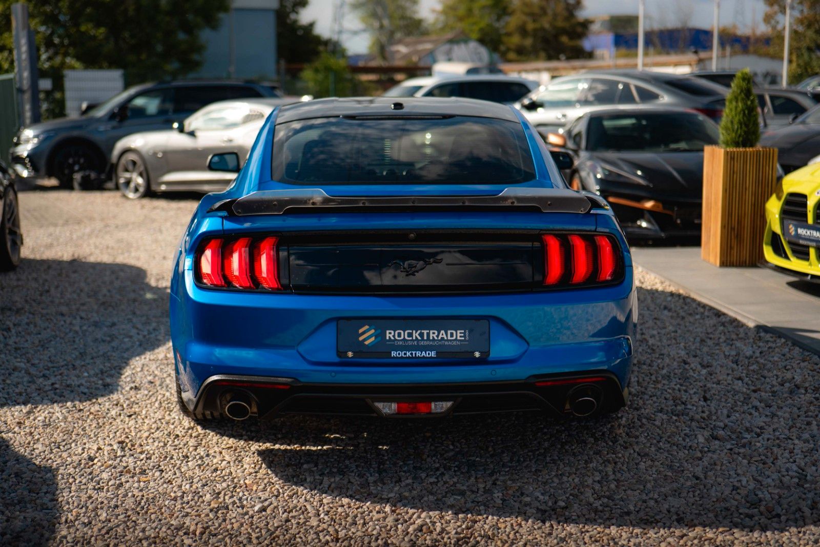 Fahrzeugabbildung Ford Mustang Shelby GT 500 Coupe Performance LED