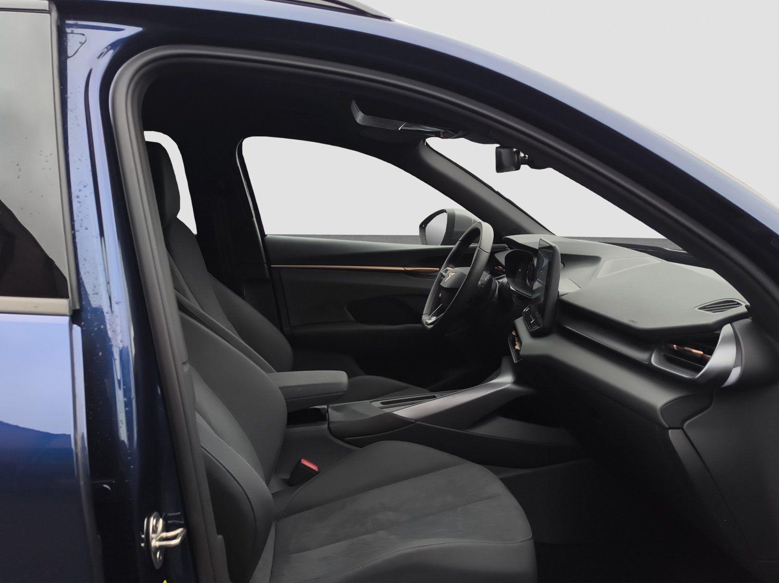 Cupra Terramar - Bild 21