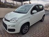 Fiat Panda Lounge 0.9 Benzin/CNG Klima TÜV 02/27 - Fiat Panda mit CNG-Antrieb: Kleinwagen