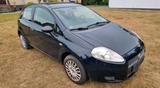 Fiat Punto 2009 Benzin 1.2 ohne TÜV - Fiat Punto in Bremen