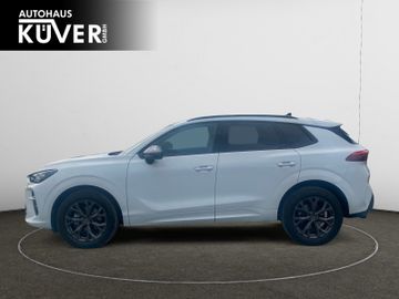 Cupra Terramar - 3