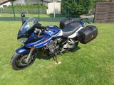 Suzuki Bandit GSF 1200 S mit Sonderlackierung - SUZUKI 2005 BANDIT 1200S