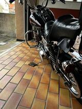 Harley-Davidson Dyna Wide Glide - Offers