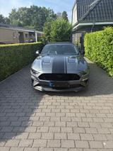 Ford Mustang 5.0  V8 GT Auto GT, Garantie, MagneRide - gebrauchte Ford Mustang aus dem Jahr 2023