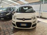 Fiat Panda 1.2 EasyPower Lounge - Fiat Panda mit LPG-Antrieb