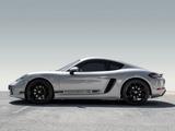 Porsche Cayman Style Edition Navi PASM Sport Chrono - Porsche Cayman: Sport Chrono