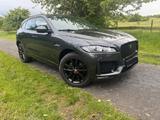 Jaguar F-Pace 30d AWD R-Sport Automatik R-Sport - Jaguar F-Pace in Hannover