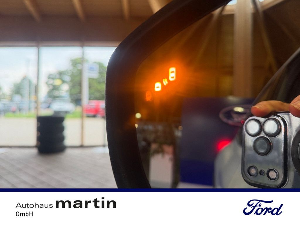 Fahrzeugabbildung Ford Mustang MACH-E Extended Range ACC LED PANO 360°