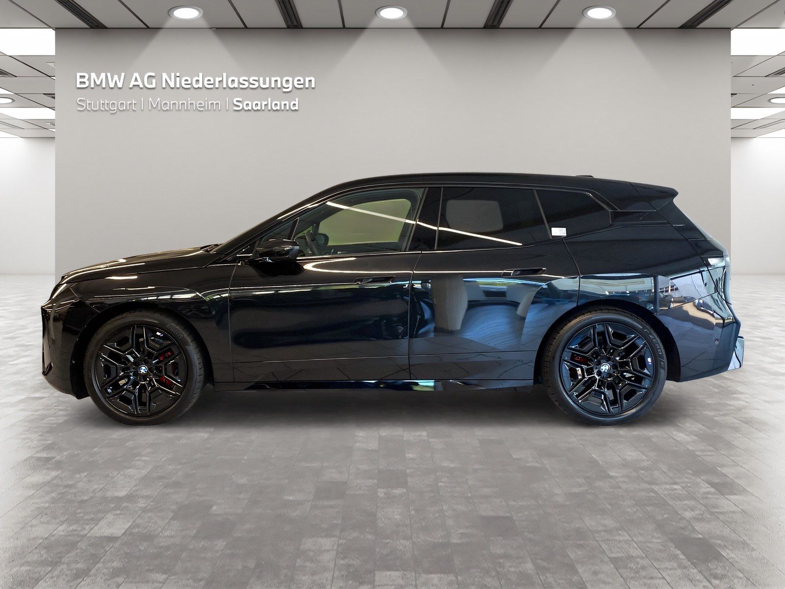 BMW iX xDrive45 M Sport AHK Driv.Assist.Prof Kamera foto 3