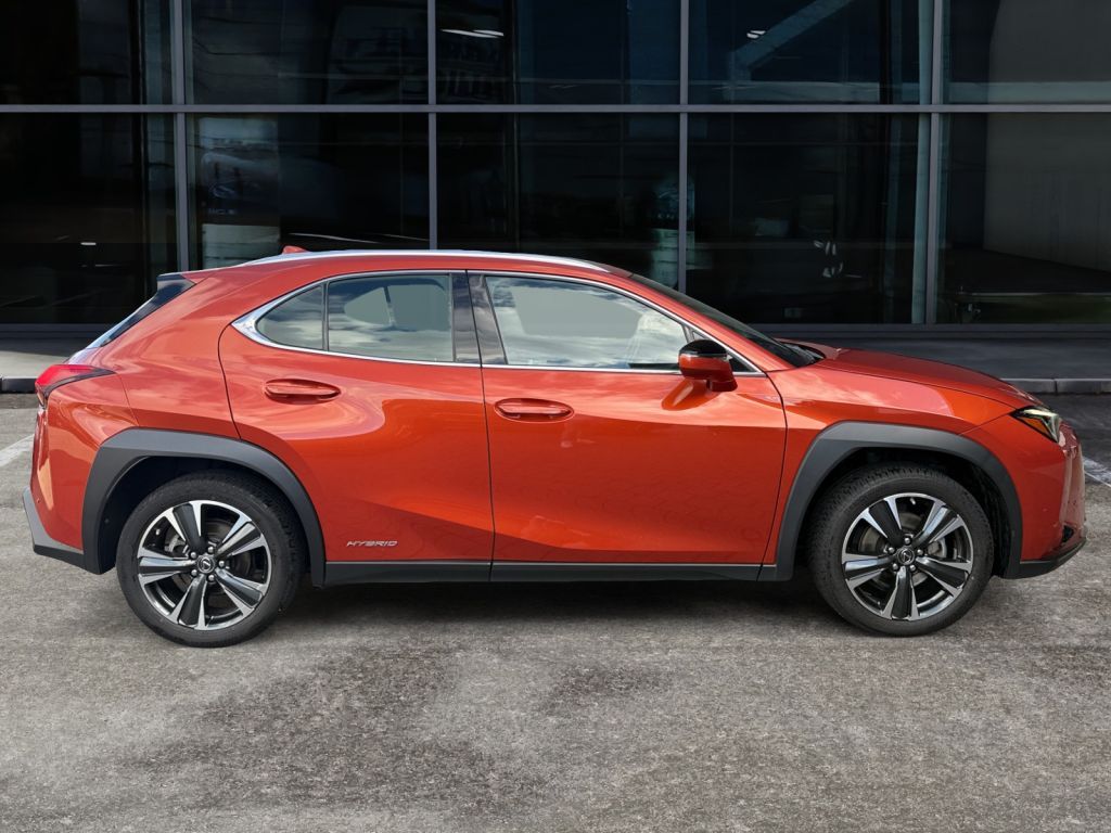 Fahrzeugabbildung Lexus UX 250h  (E-FOUR) Luxury Line