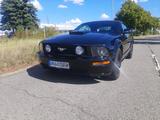 Ford Mustang GT V8 Schalter sehr selten - Ford Mustang aus 2008: Cabrio